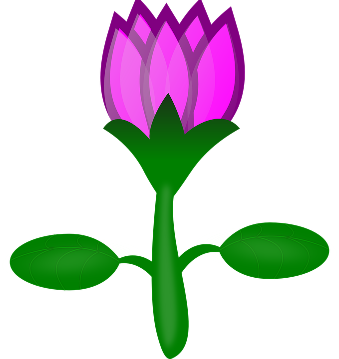 gambar bunga tulip gambar animasi alam bunga indoo tulips sun wapday gif size 5