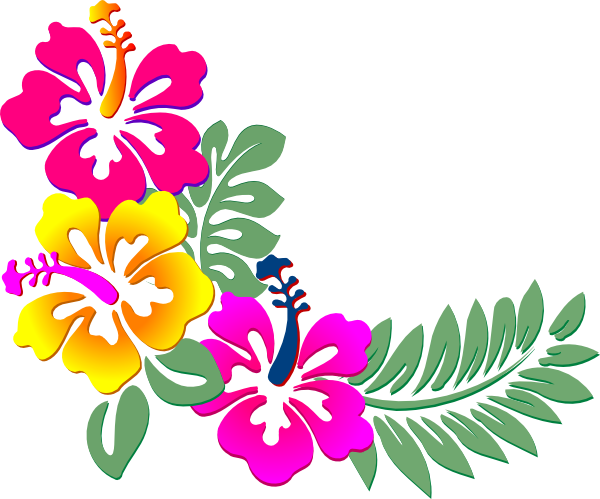 gambar bunga tulip hibiscus corner clip art clkerm vector clip art #35707