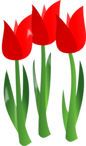 gambar bunga tulip red tulips clip art clkerm vector clip art online #35701