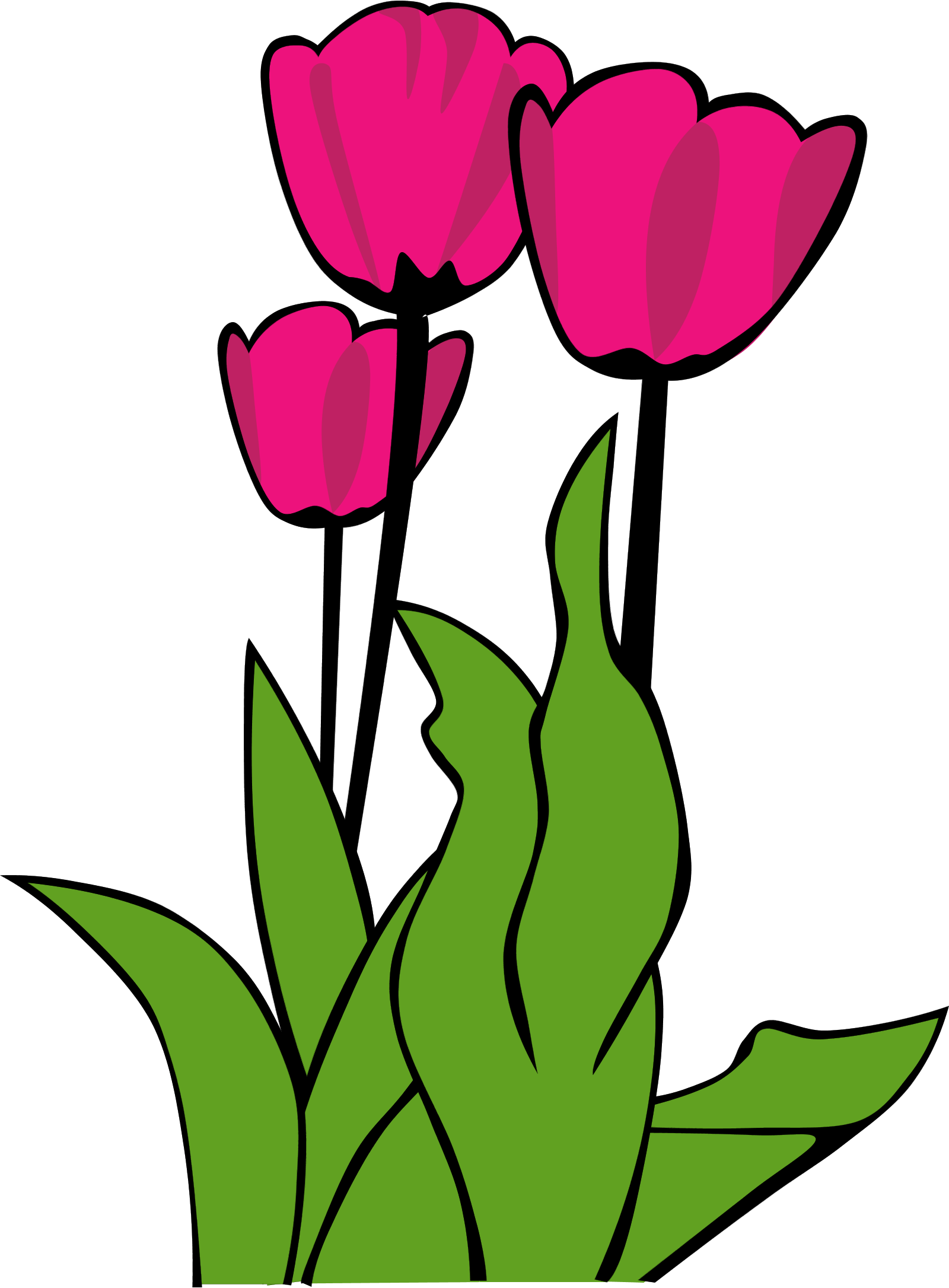 gambar bunga tulip tulip clip art clipart panda clipart images #35697