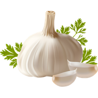 download garlic png photo images and clipart pngimg #25528