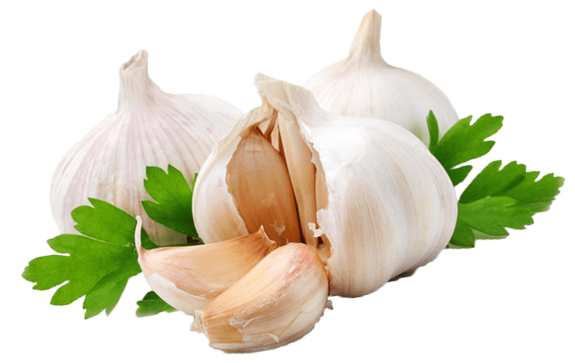 garlic coriander transparent png stickpng #25486