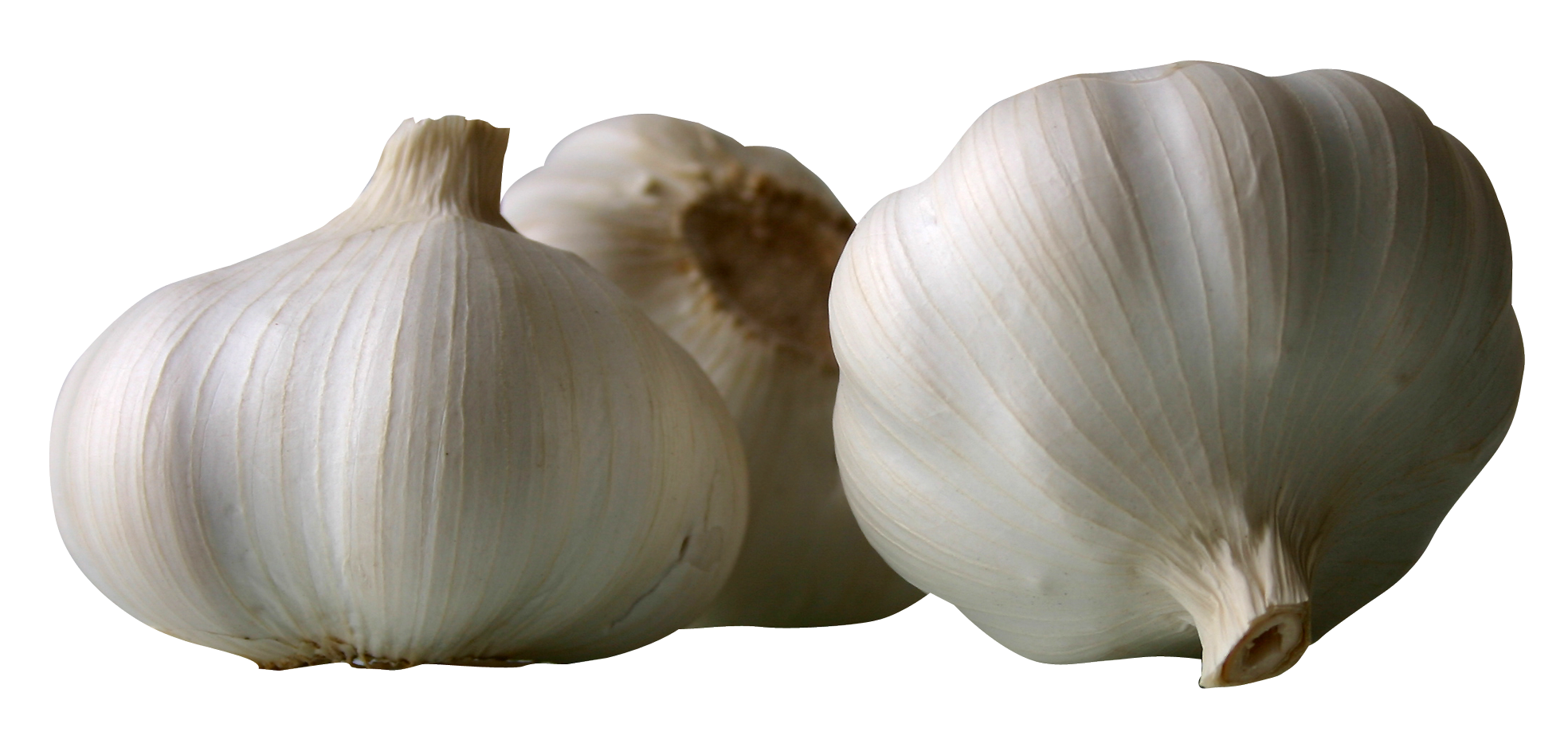 garlic, garlics png image pngpix #25564