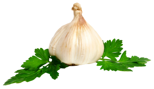 garlic png image pngpix #25489