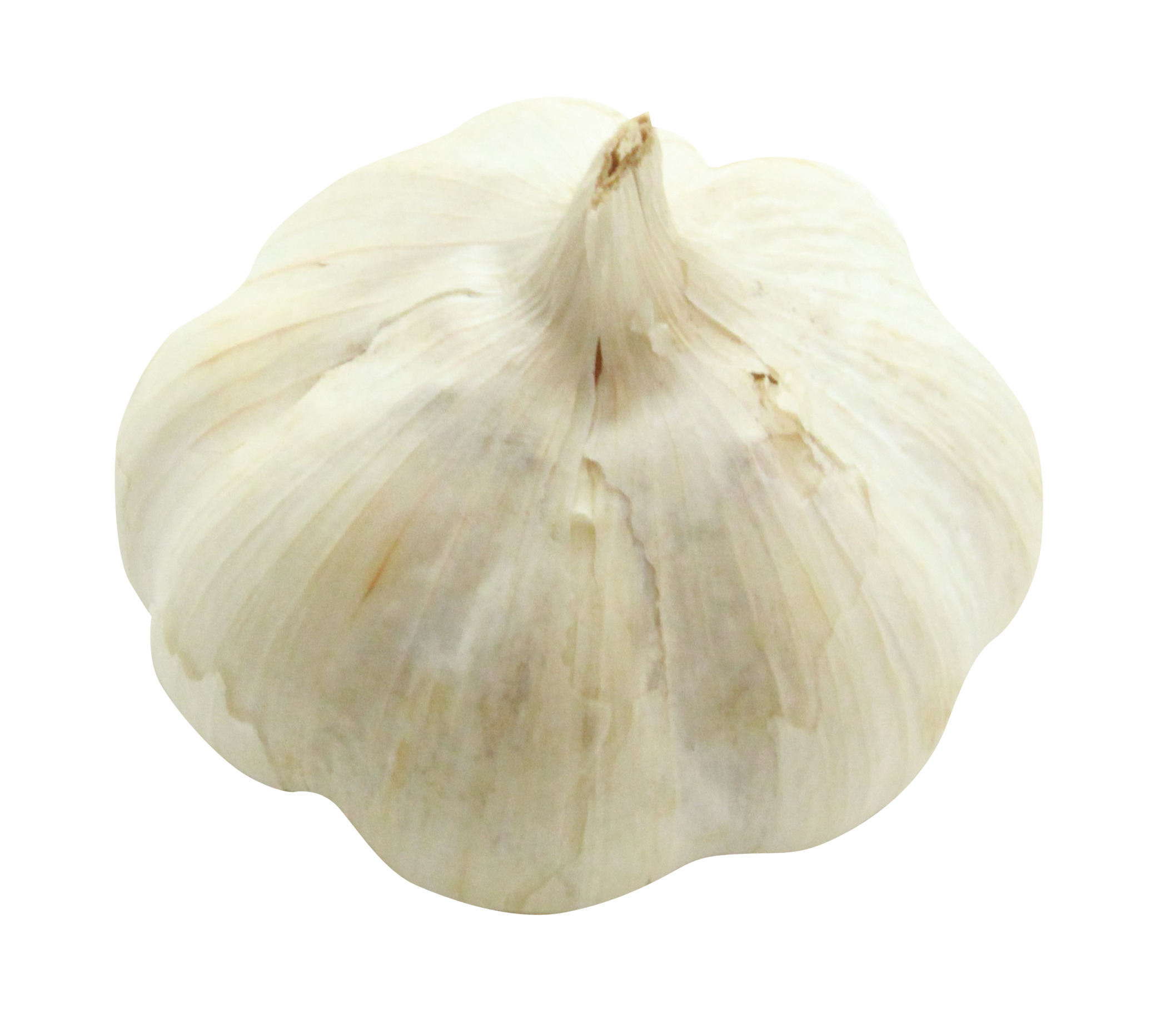 garlic png image pngpix #25584