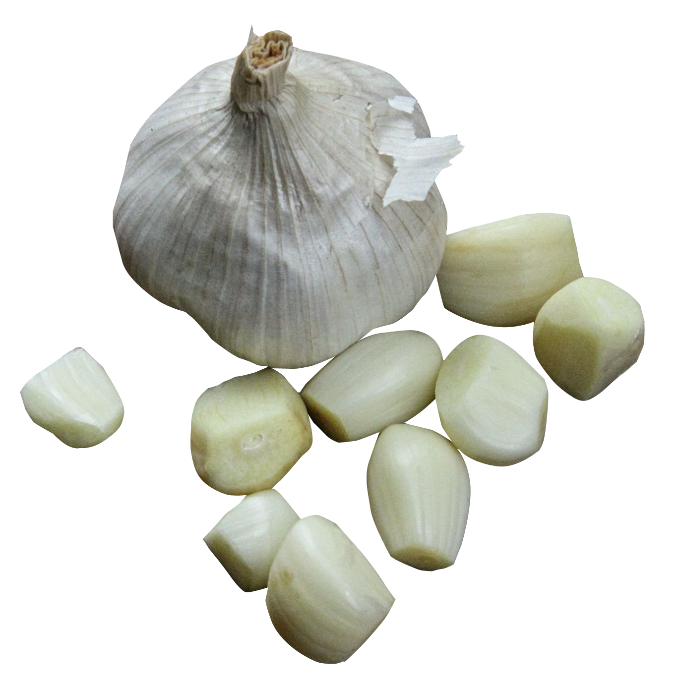 garlic png image pngpix #25585