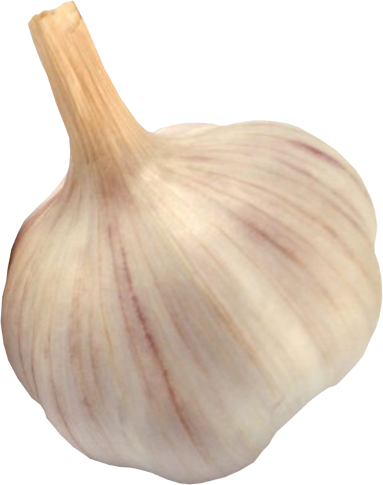 garlic png images for download crazypngm #25527