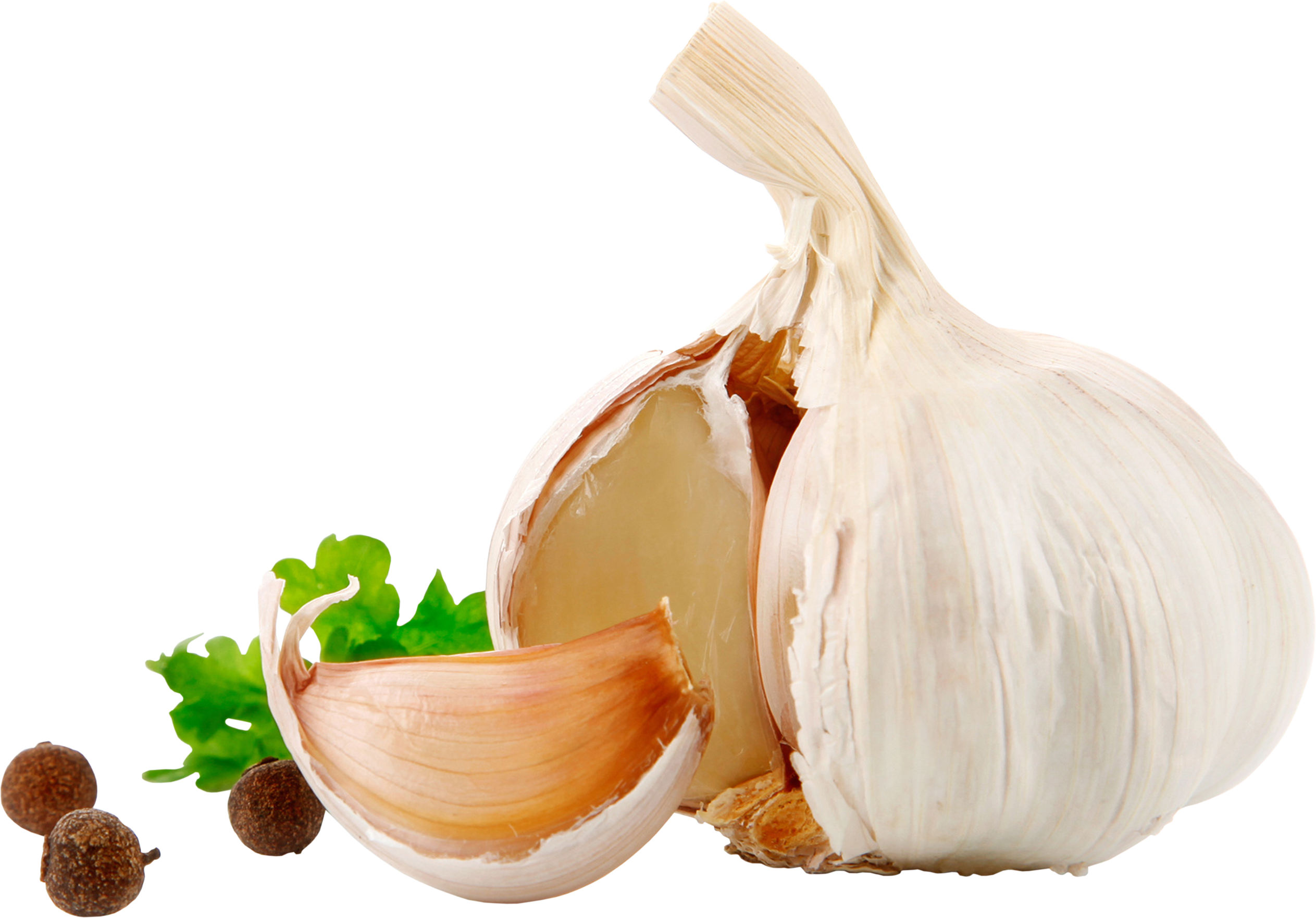 garlic png images for download crazypngm #25530