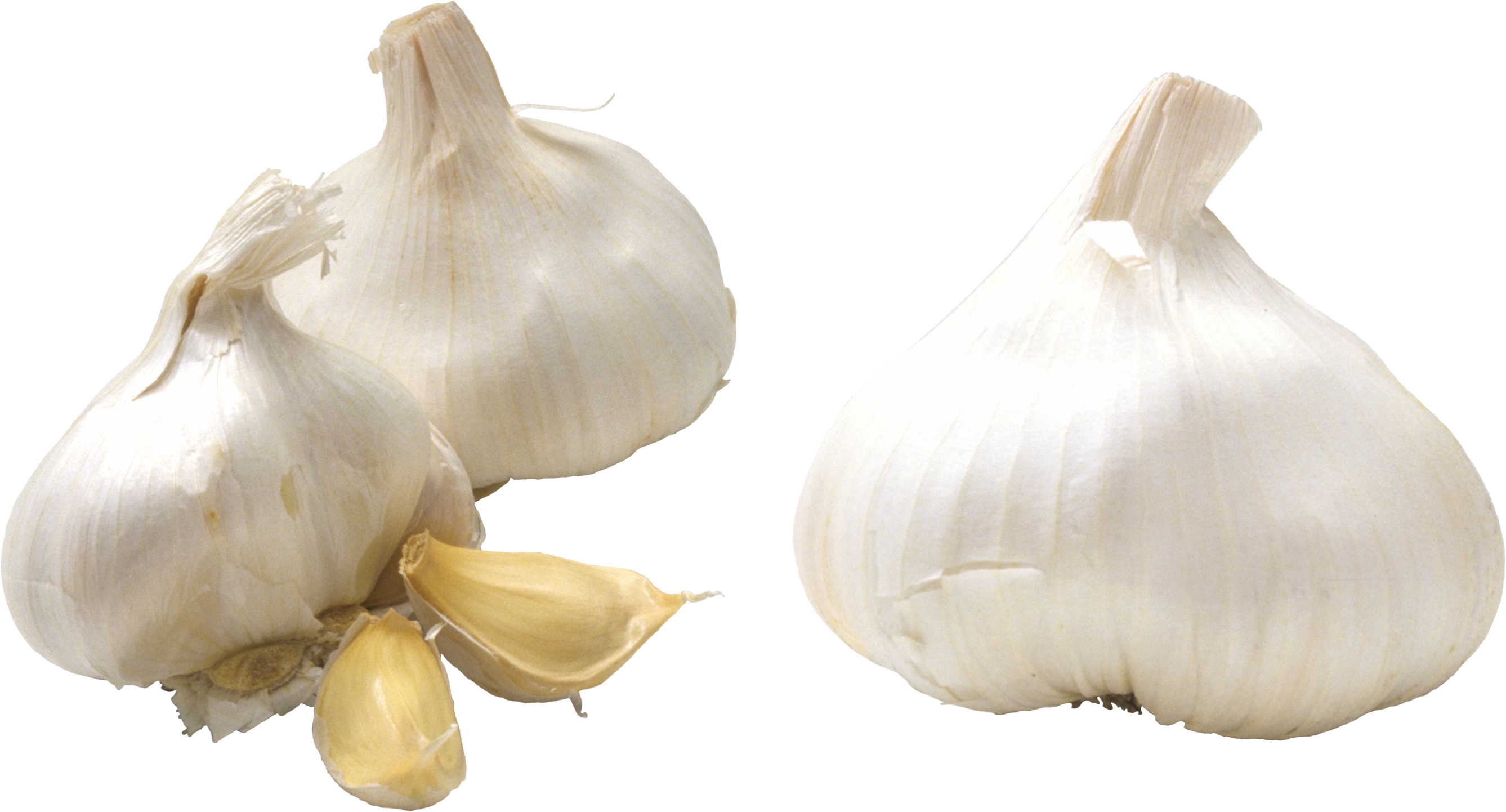 garlic png images for download crazypngm #25532