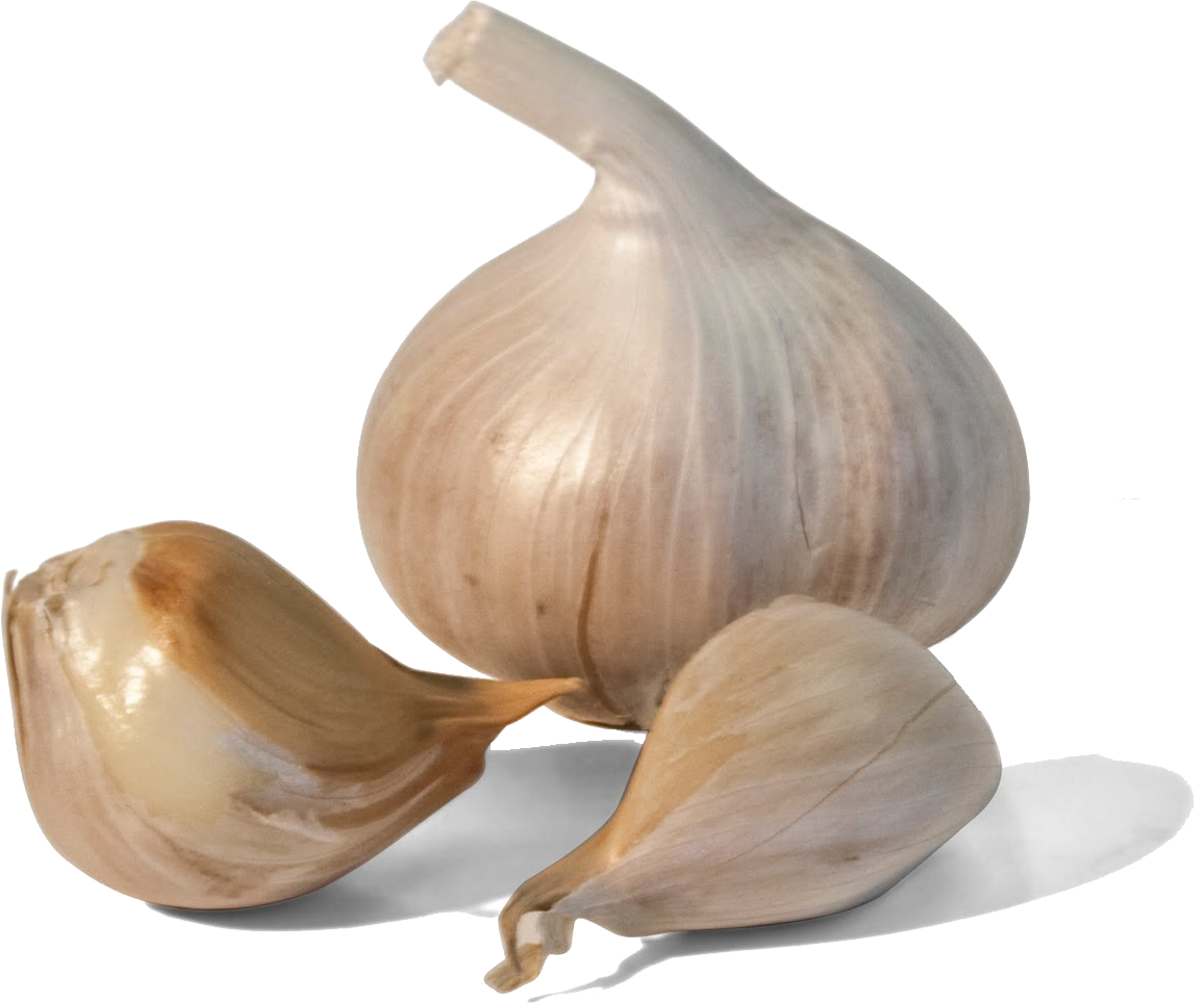 garlic png images for download crazypngm #25538