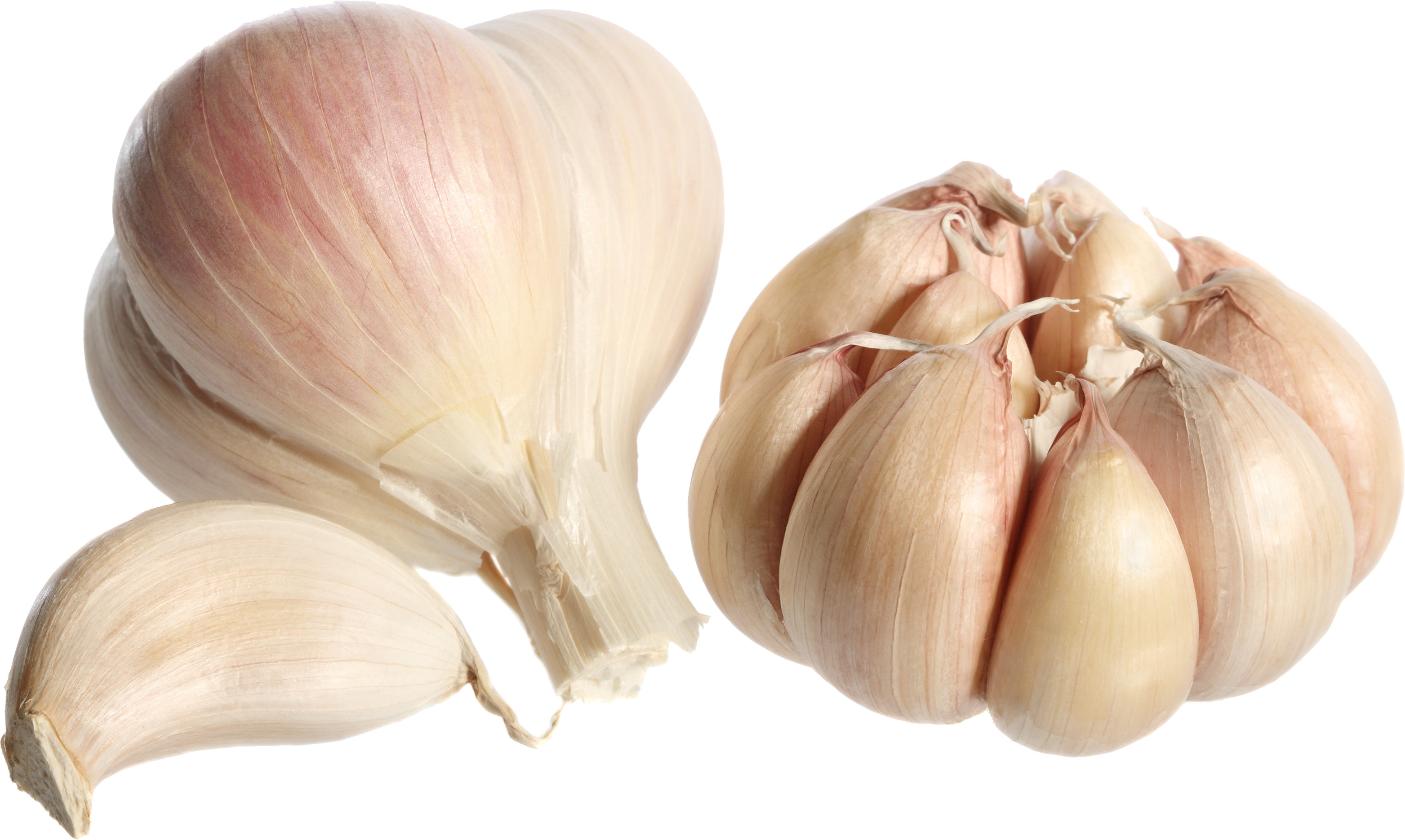 garlic png images for download crazypngm #25552