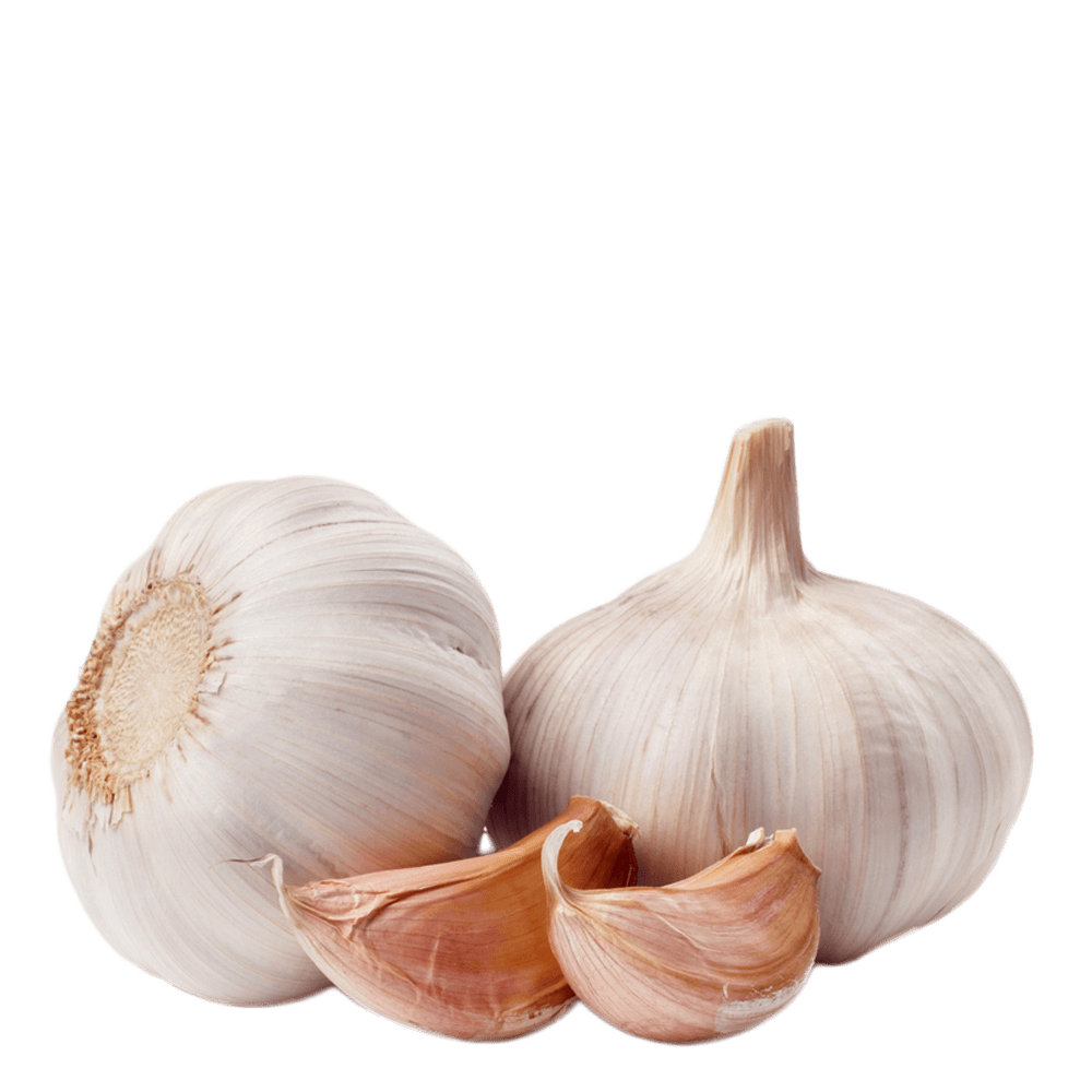 garlic png transparent images download clip art #25493