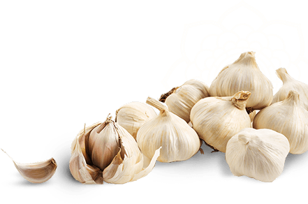 garlics transparent png #25536