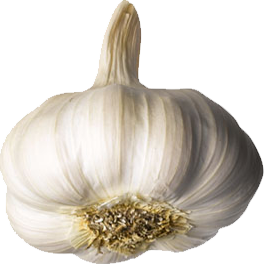 garlic png transparent images png only #25558