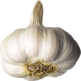 garlic real png #25558