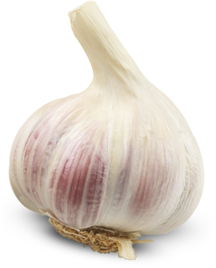 download garlic free png image #25491