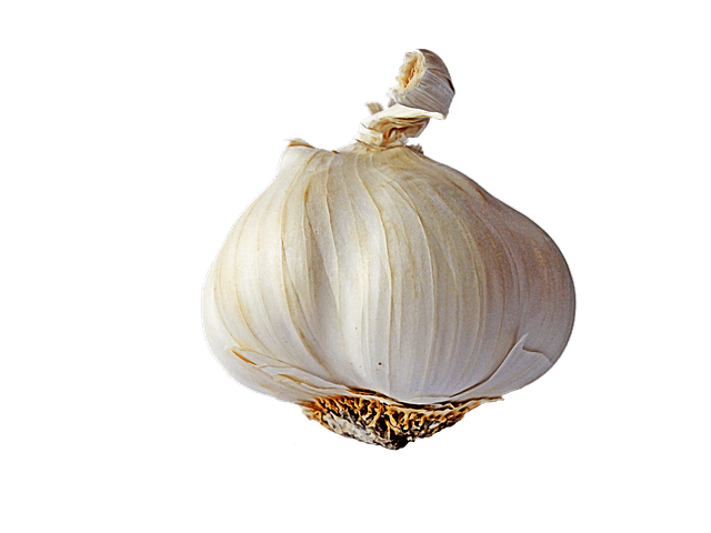 garlic single transparent png stickpng #25514