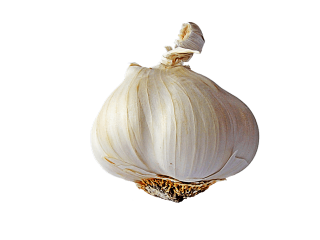 Garlic