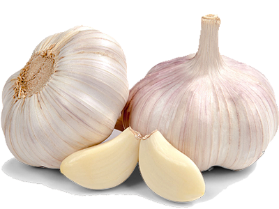 garlic the super cure healthy readers #25510