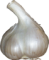 garlic, tux paint stamp browser food #25579