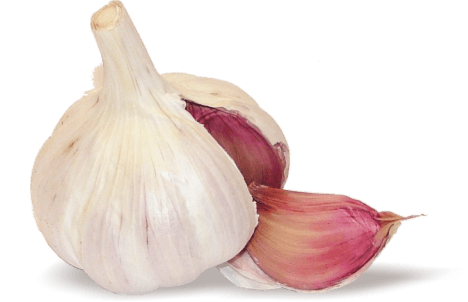 garlic wedge transparent png stickpng #25531
