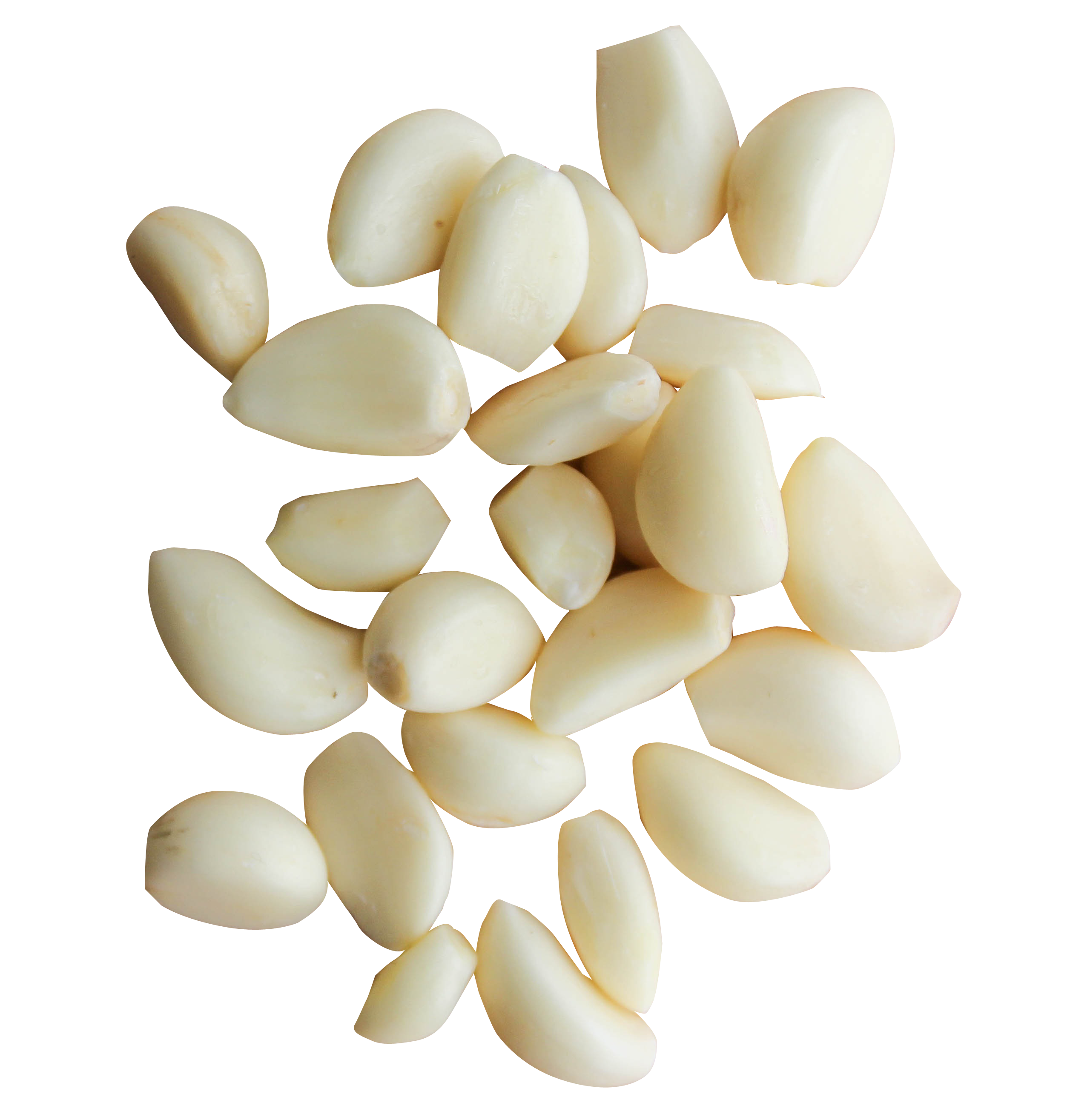 peeled garlic cloves png image pngpix #25507