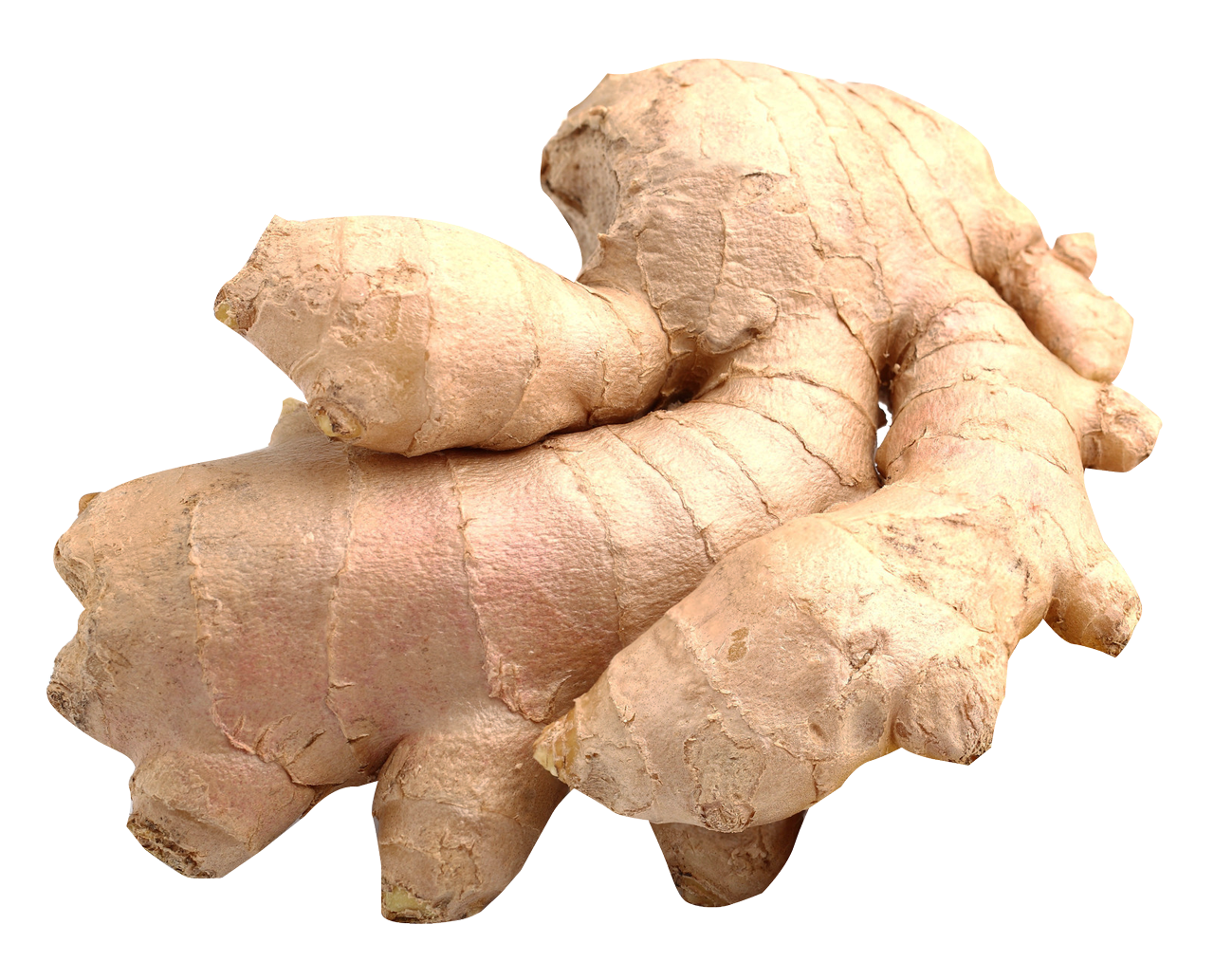 ginger png image collection for download #27469