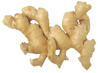 ginger png image collection for download #27485