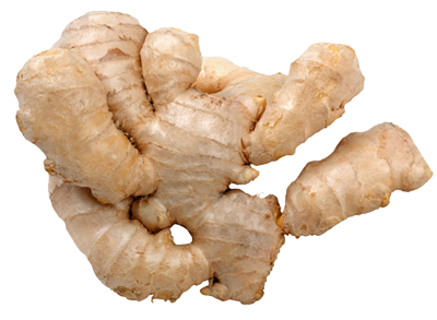ginger png image collection for download #27463