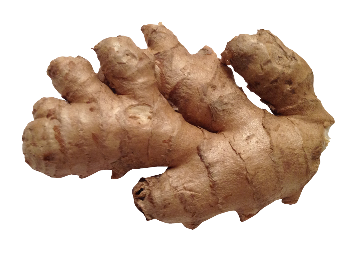 ginger png image png transparent best photos #27466