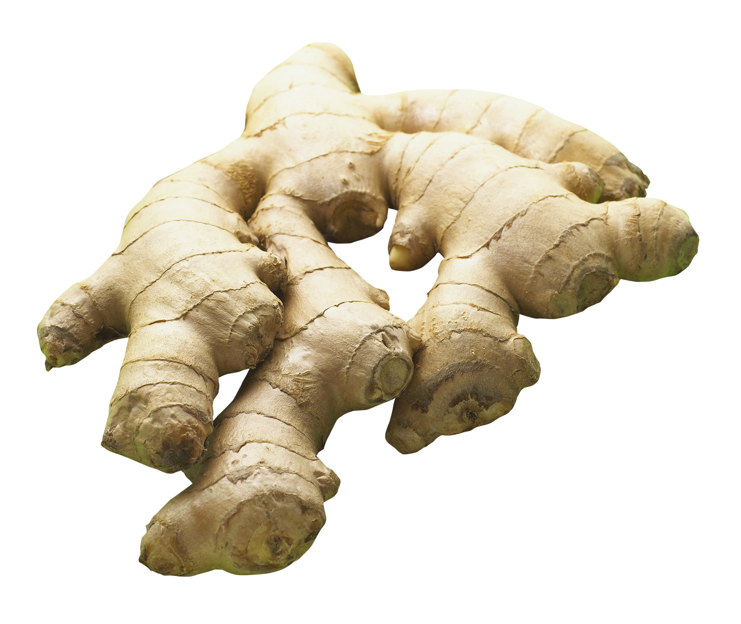 ginger png image pngpix #27495