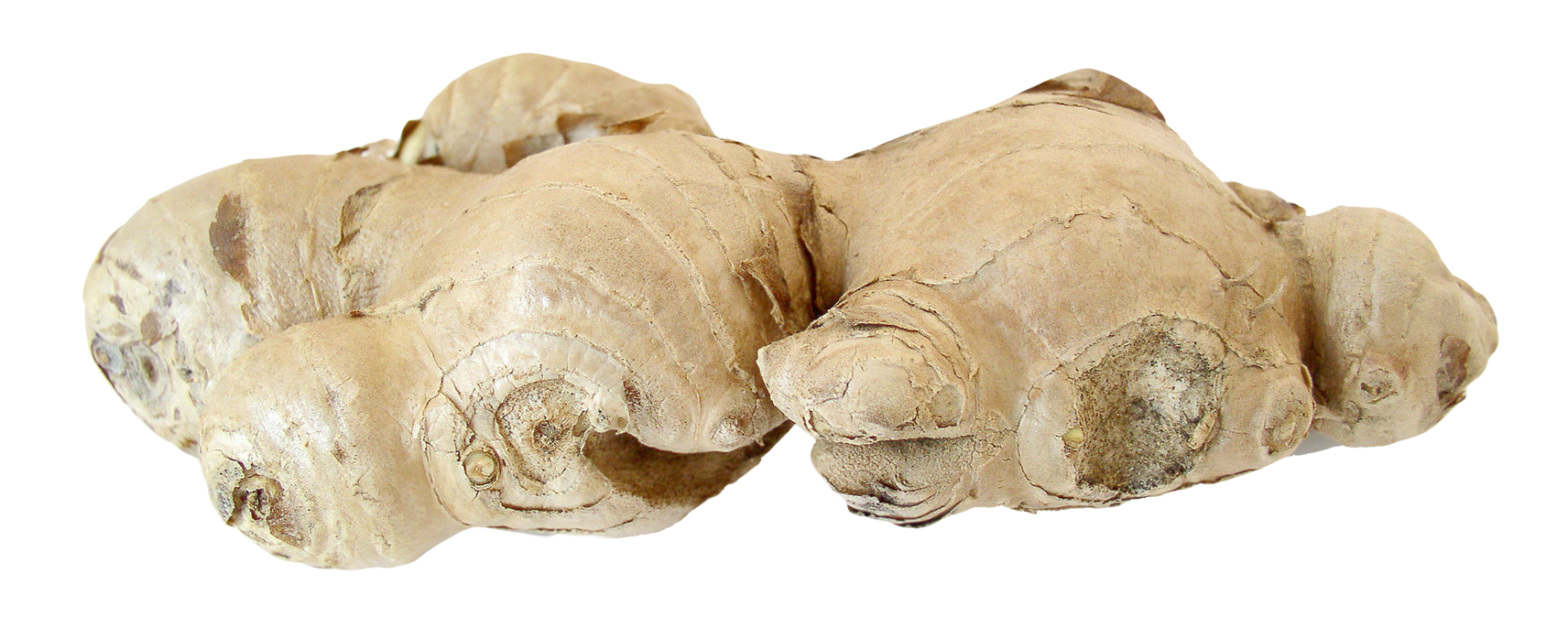 ginger root png image pngpix #27494