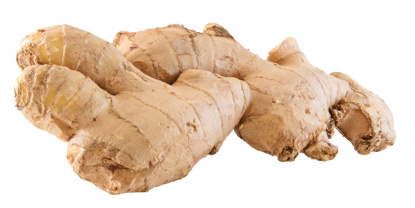 large ginger png image pngpix #27471