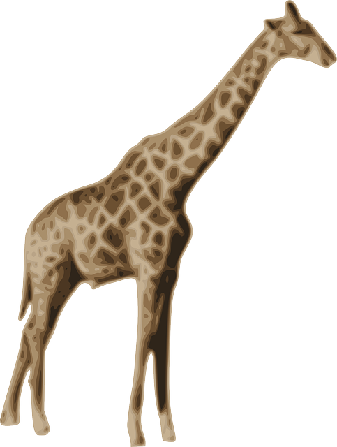 giraffe animal mammal vector graphic pixabay 24989