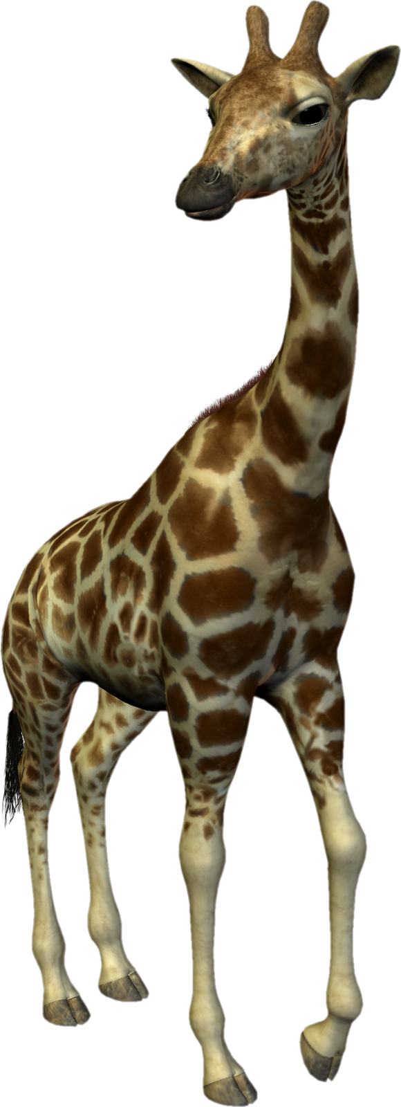 giraffe, animal png #24988