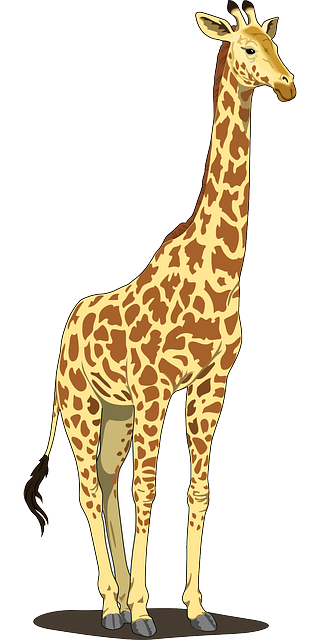 giraffe, canada tallest tree reads adult literacy 24960