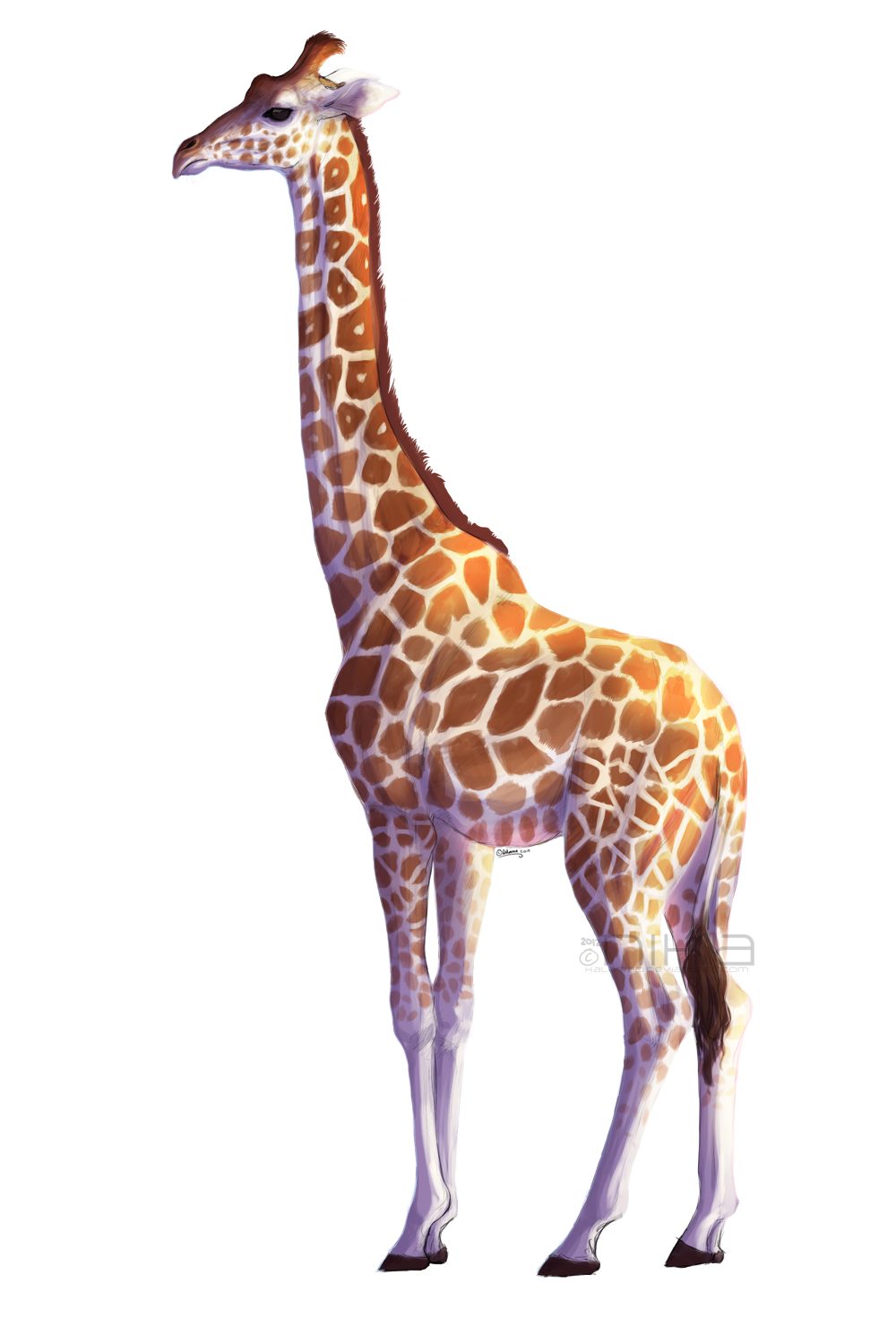 giraffe kalambo deviantart #24982