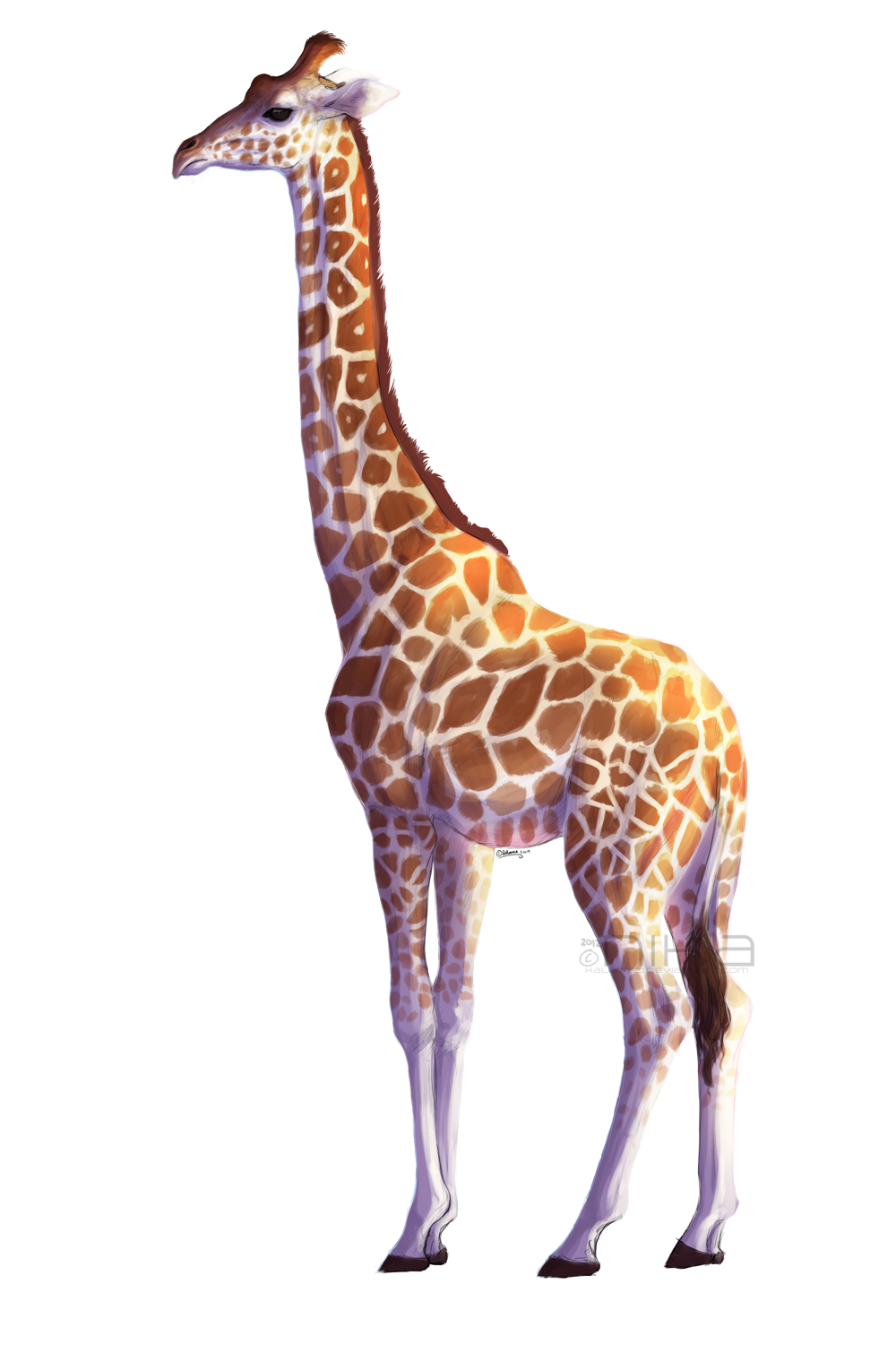 Giraffe