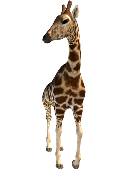 giraffe transparent background #24996