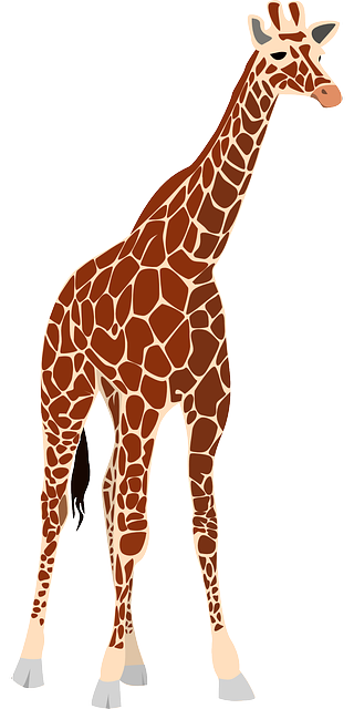 vector graphic giraffe nature africa safari
