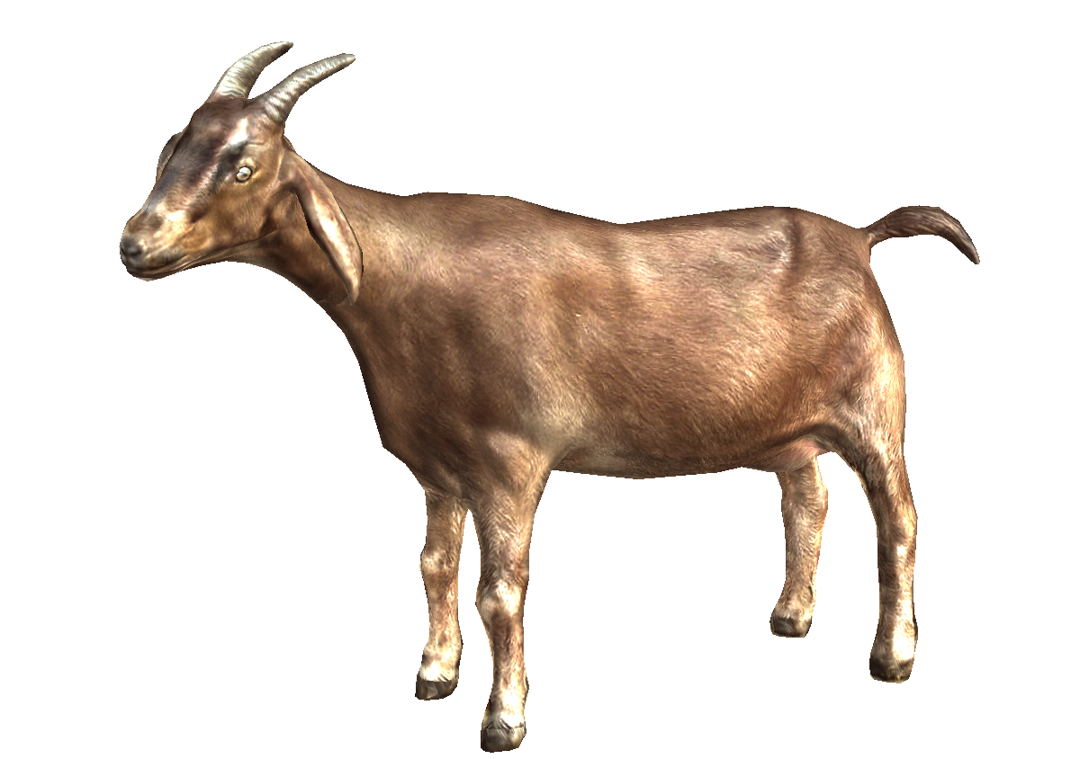 download goat png picture png image pngimg 16779
