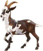 goat, tux paint stamp browser animals #16793