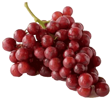 grapes, fresh fruit produce #17003