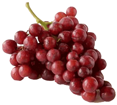 Grape PNG Transparent Grapes Clipart Images Free Download