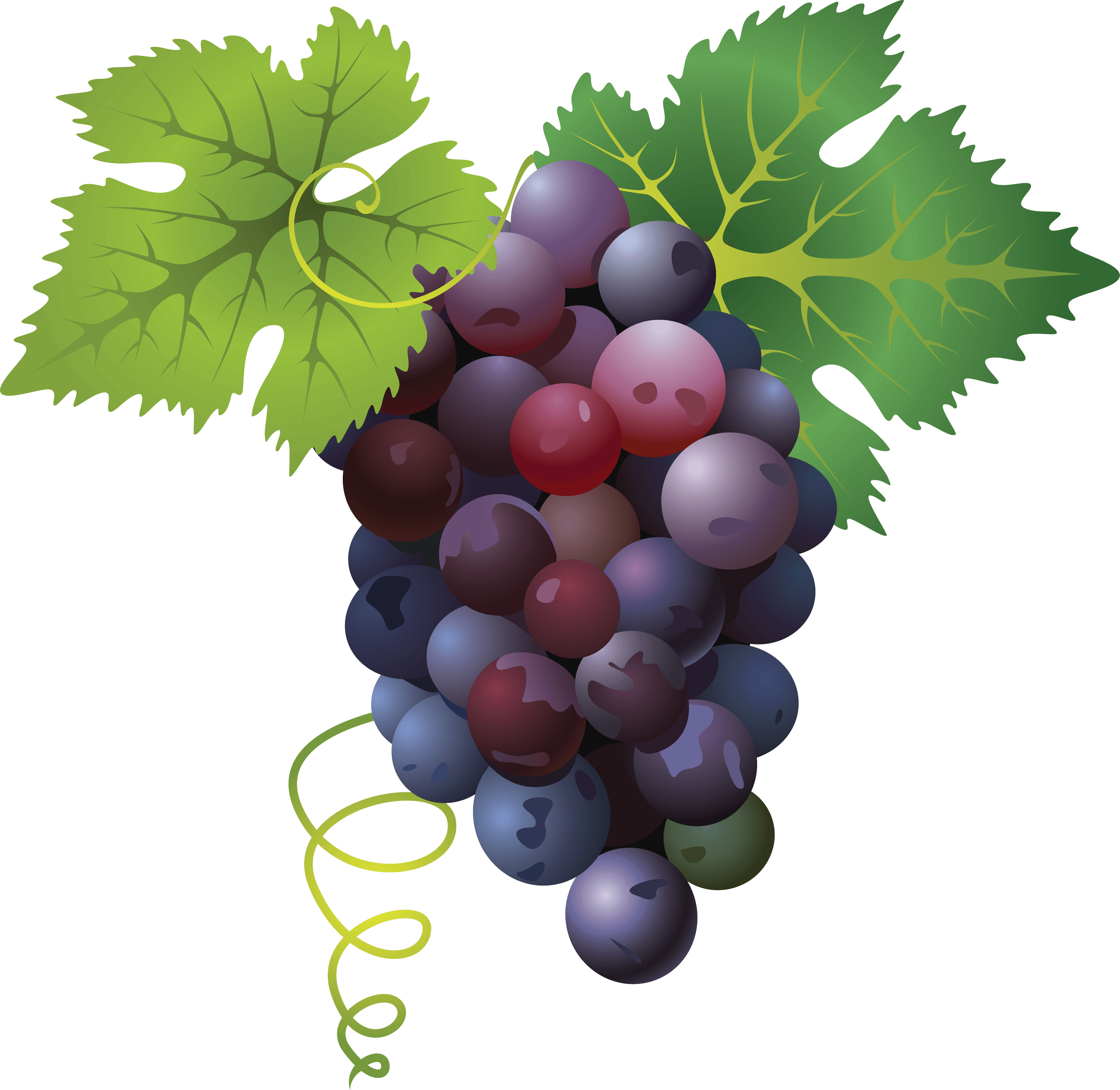 grapes, grape png transparent images png only #16986