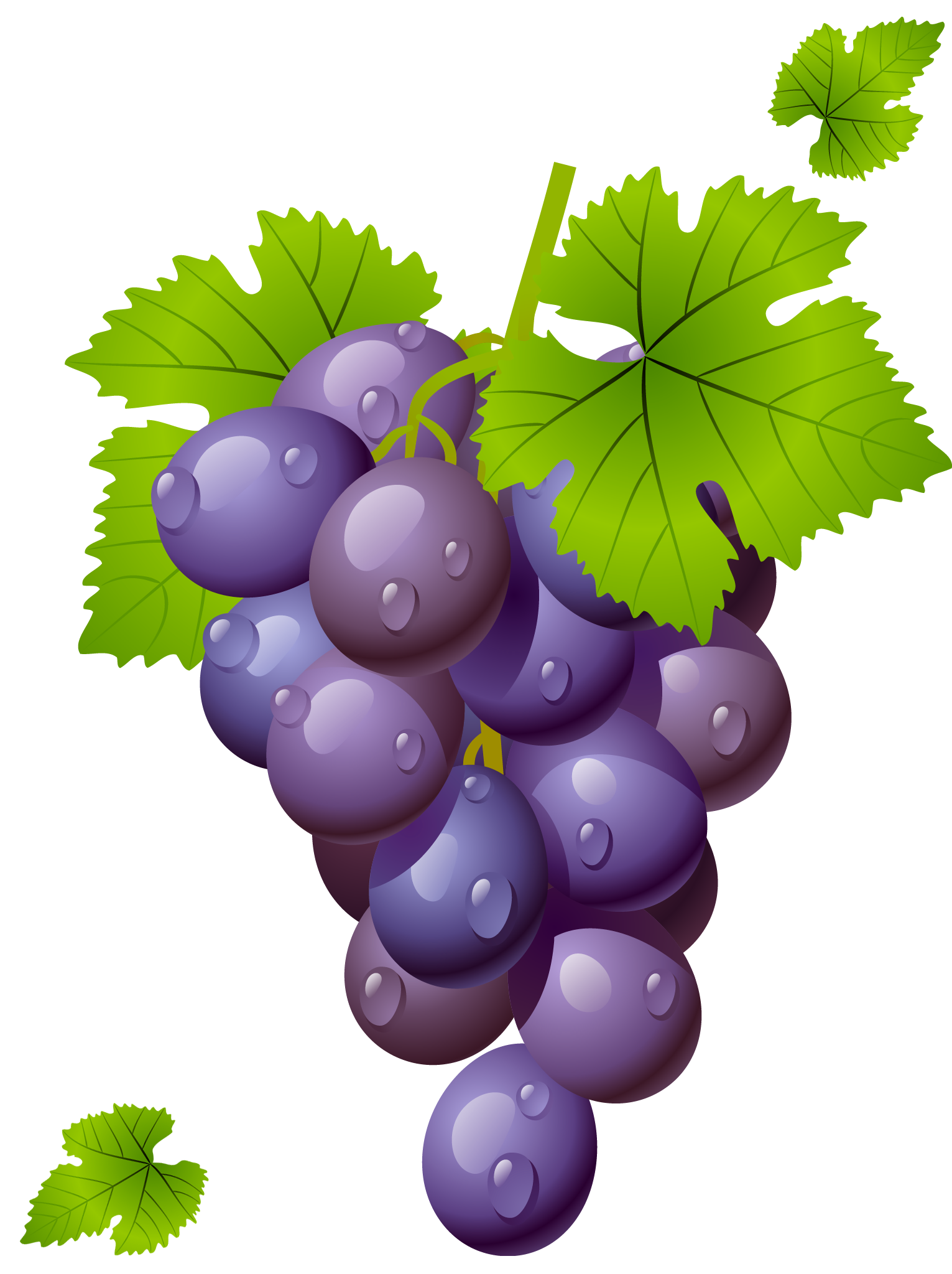 grapes, grape with leaves png clipart picture #17060