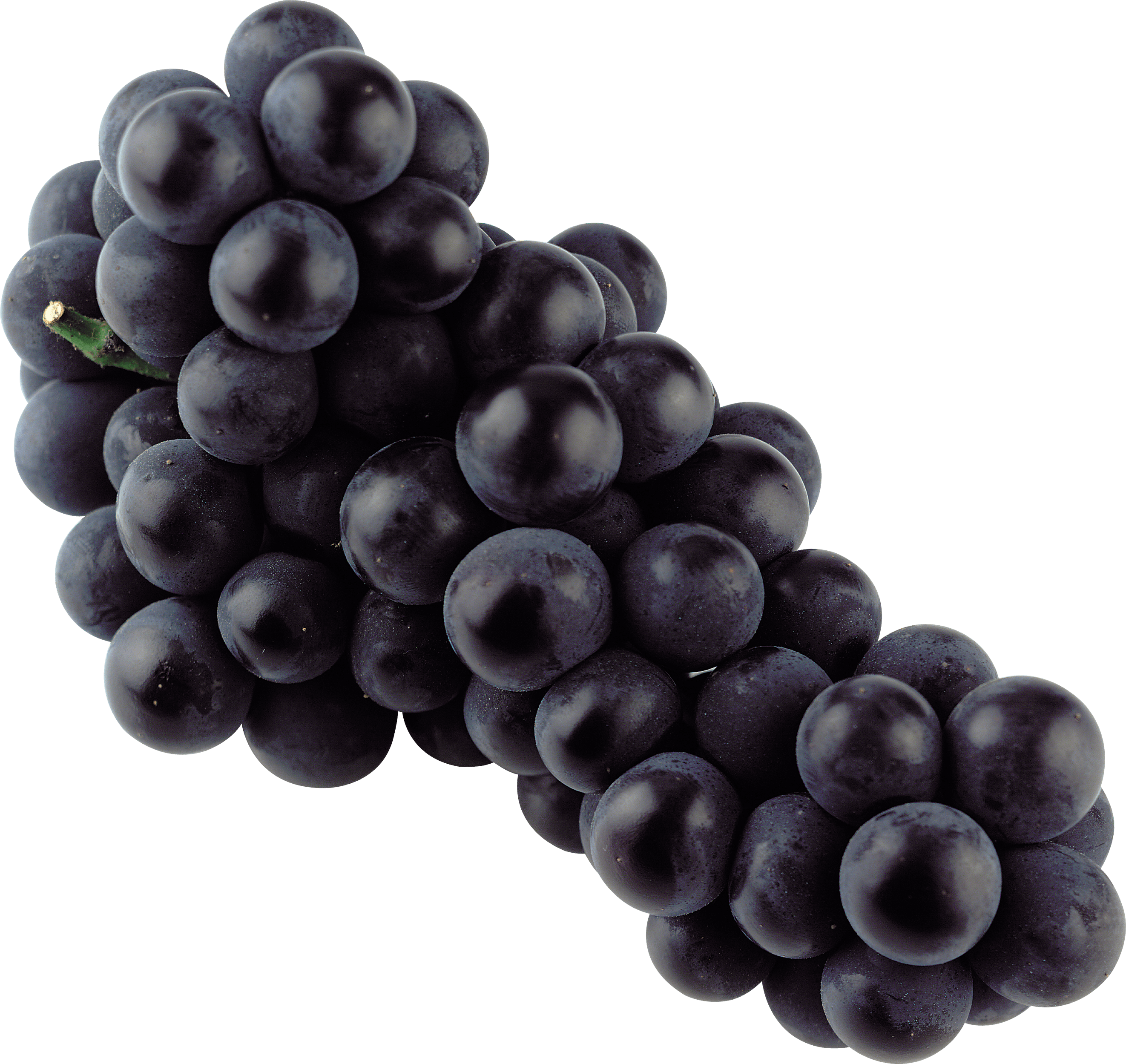 grapes, isolated blue grape transparent png stickpng #17038