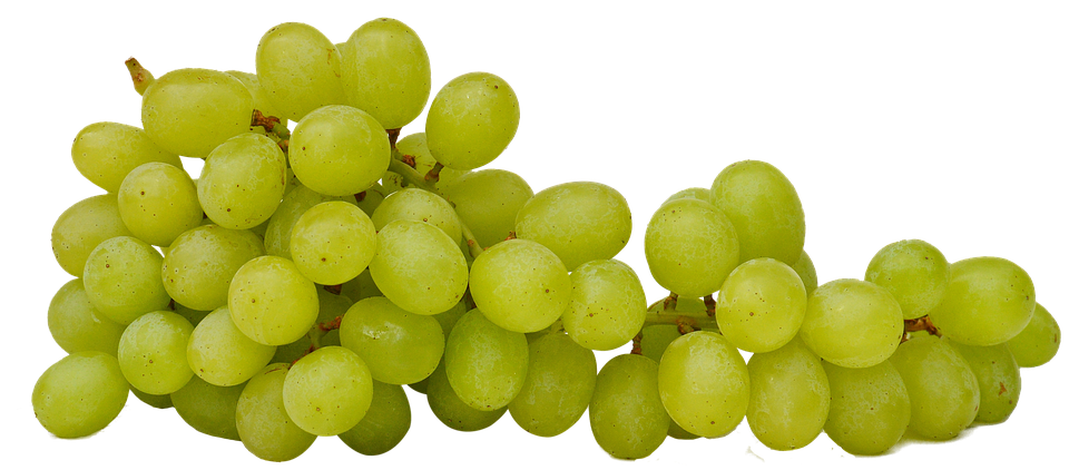 grapes isolated fruit photo pixabay #16998