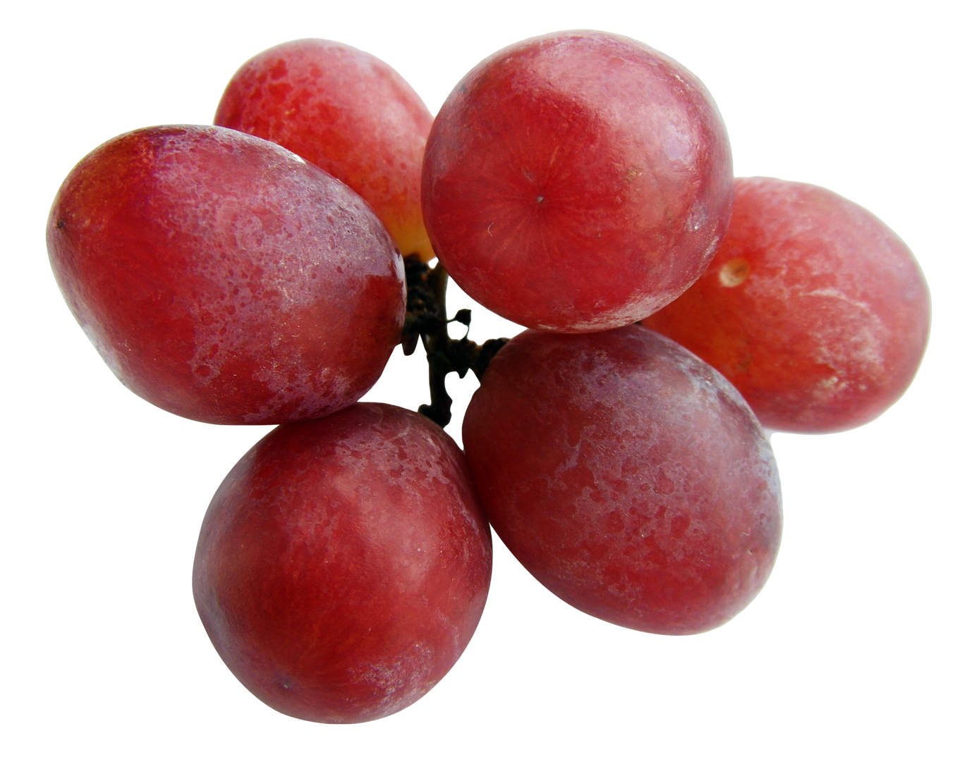 grapes png image pngpix #16977