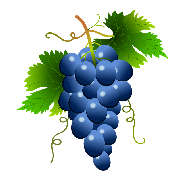 Grape PNG Transparent Grapes Clipart Images Free Download